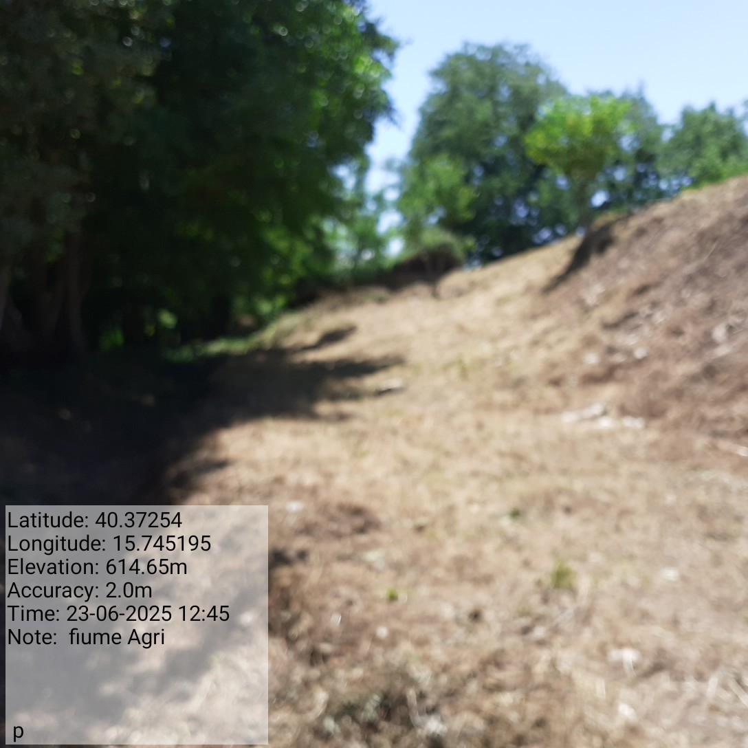 Galleria Fotografica Immagine