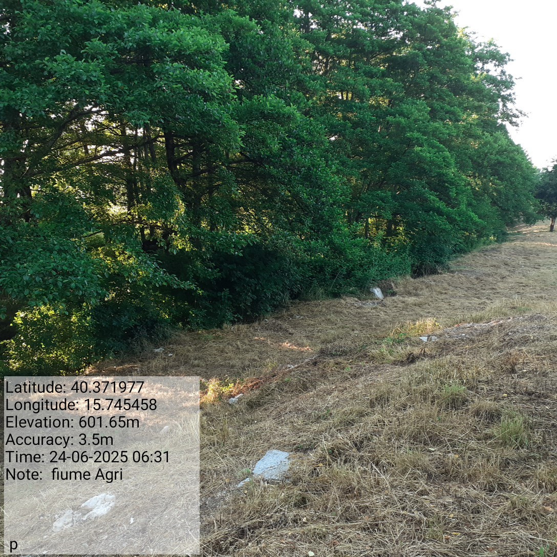 Galleria Fotografica Immagine