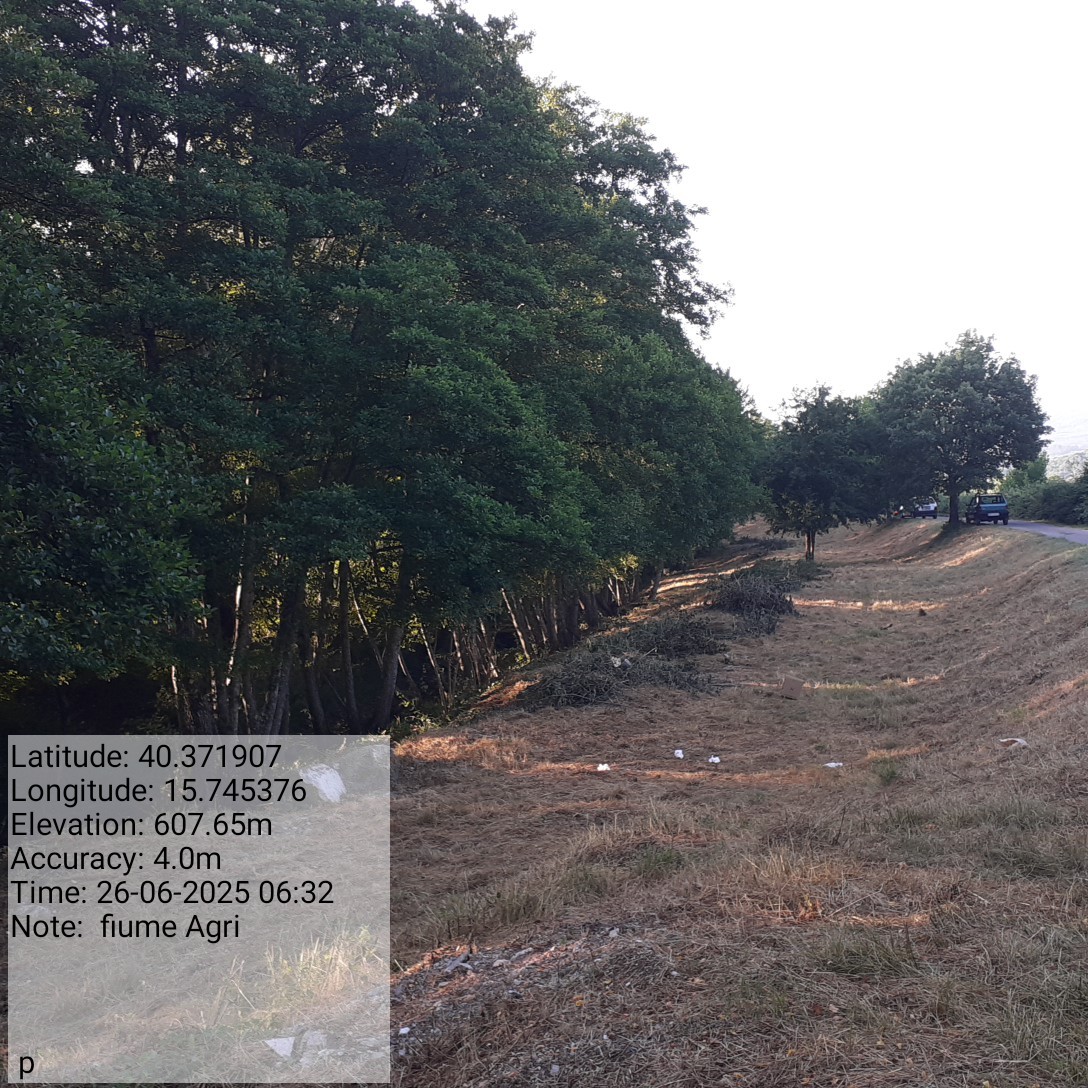 Galleria Fotografica Immagine