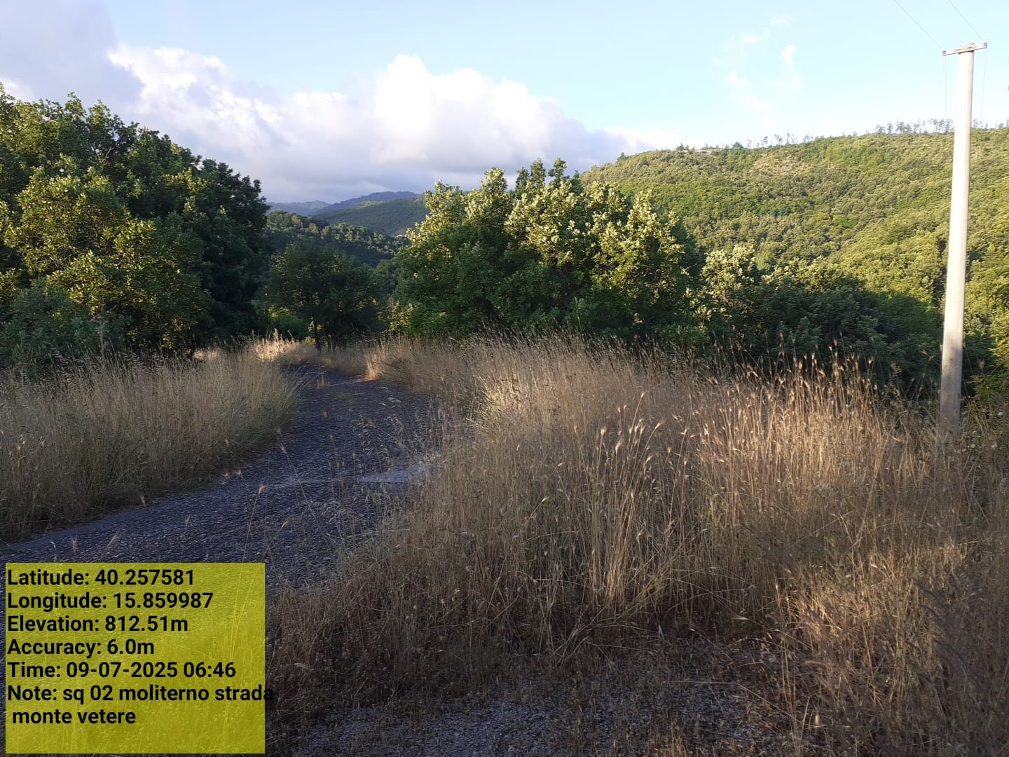 Galleria Fotografica Immagine