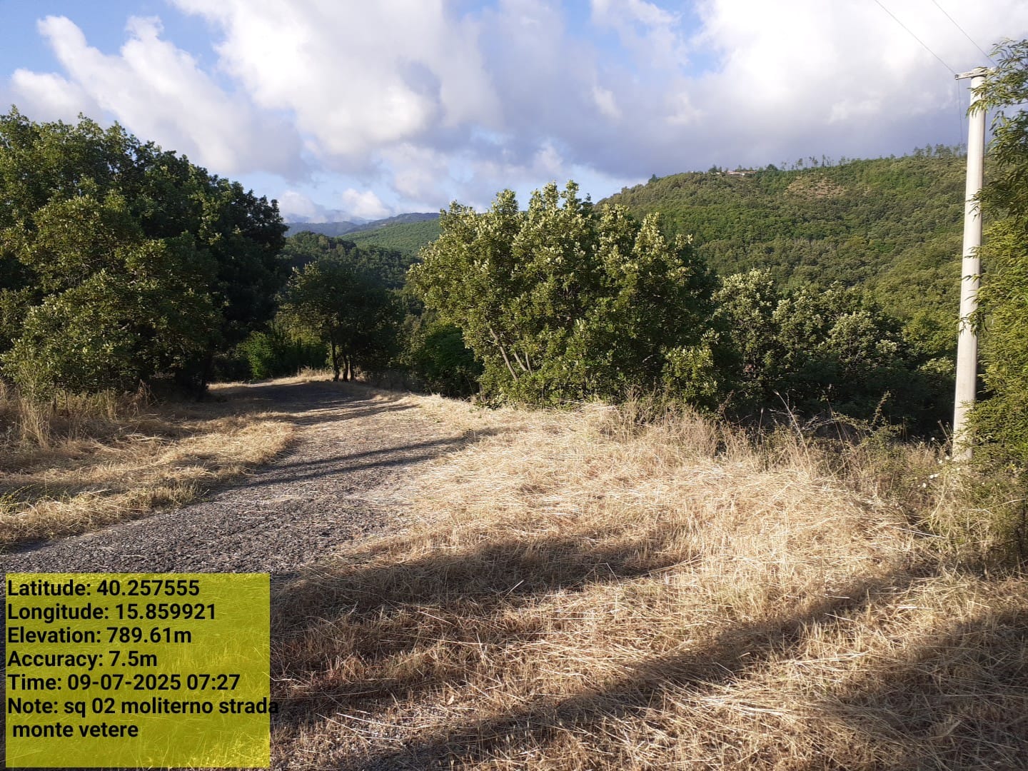 Galleria Fotografica Immagine