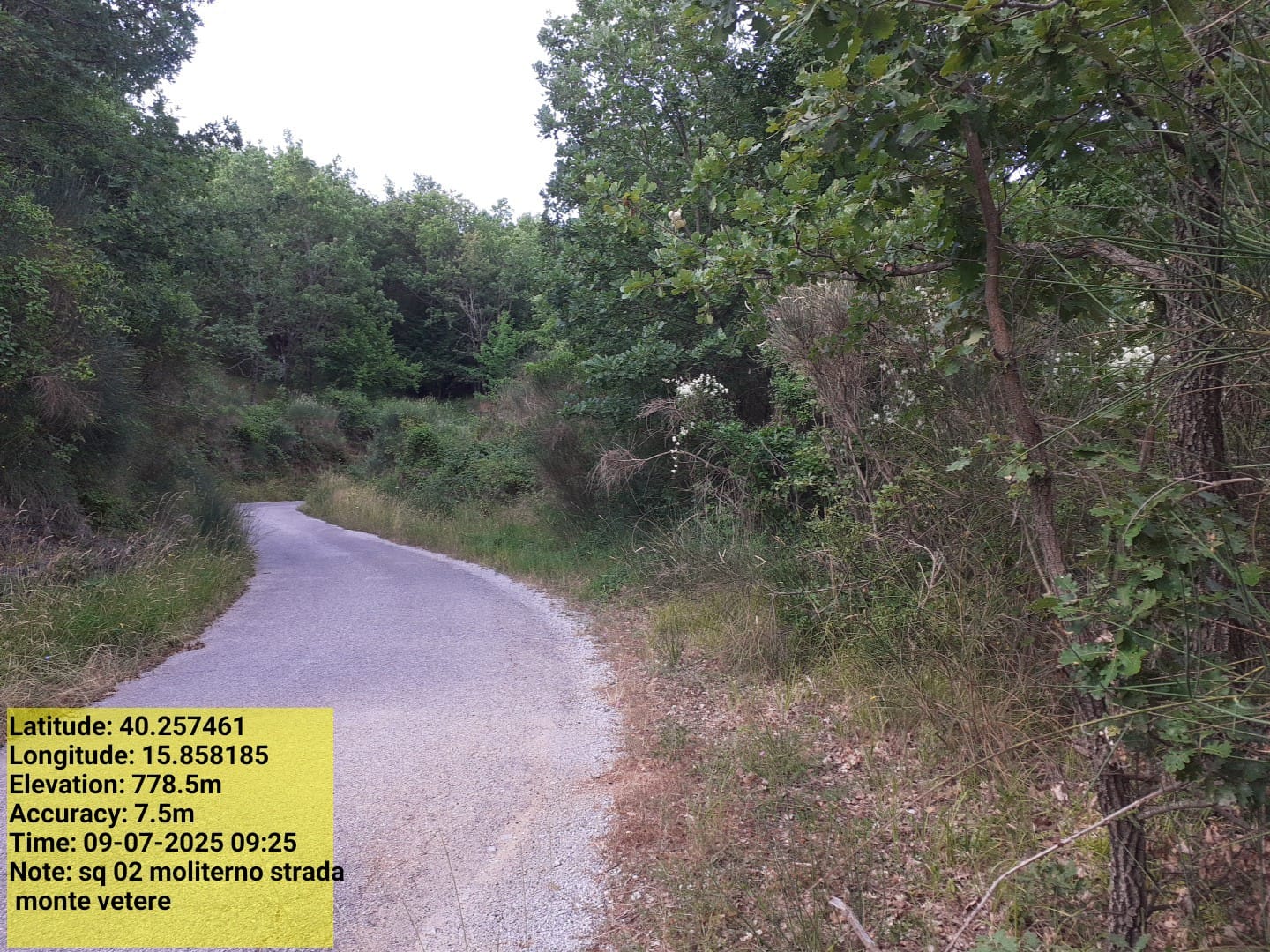 Galleria Fotografica Immagine