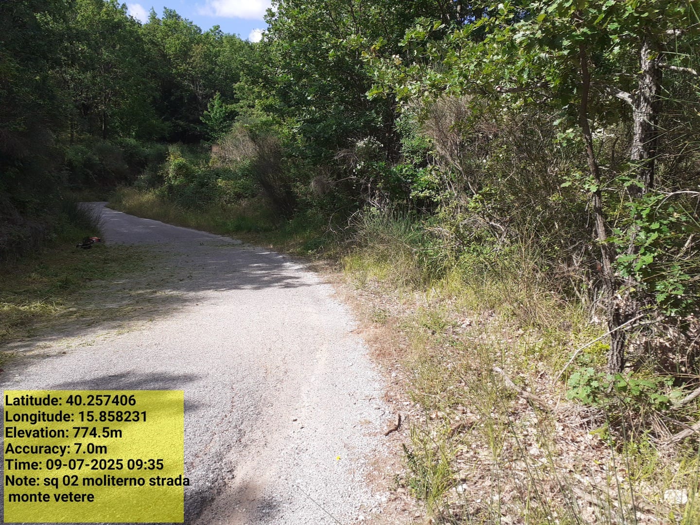 Galleria Fotografica Immagine