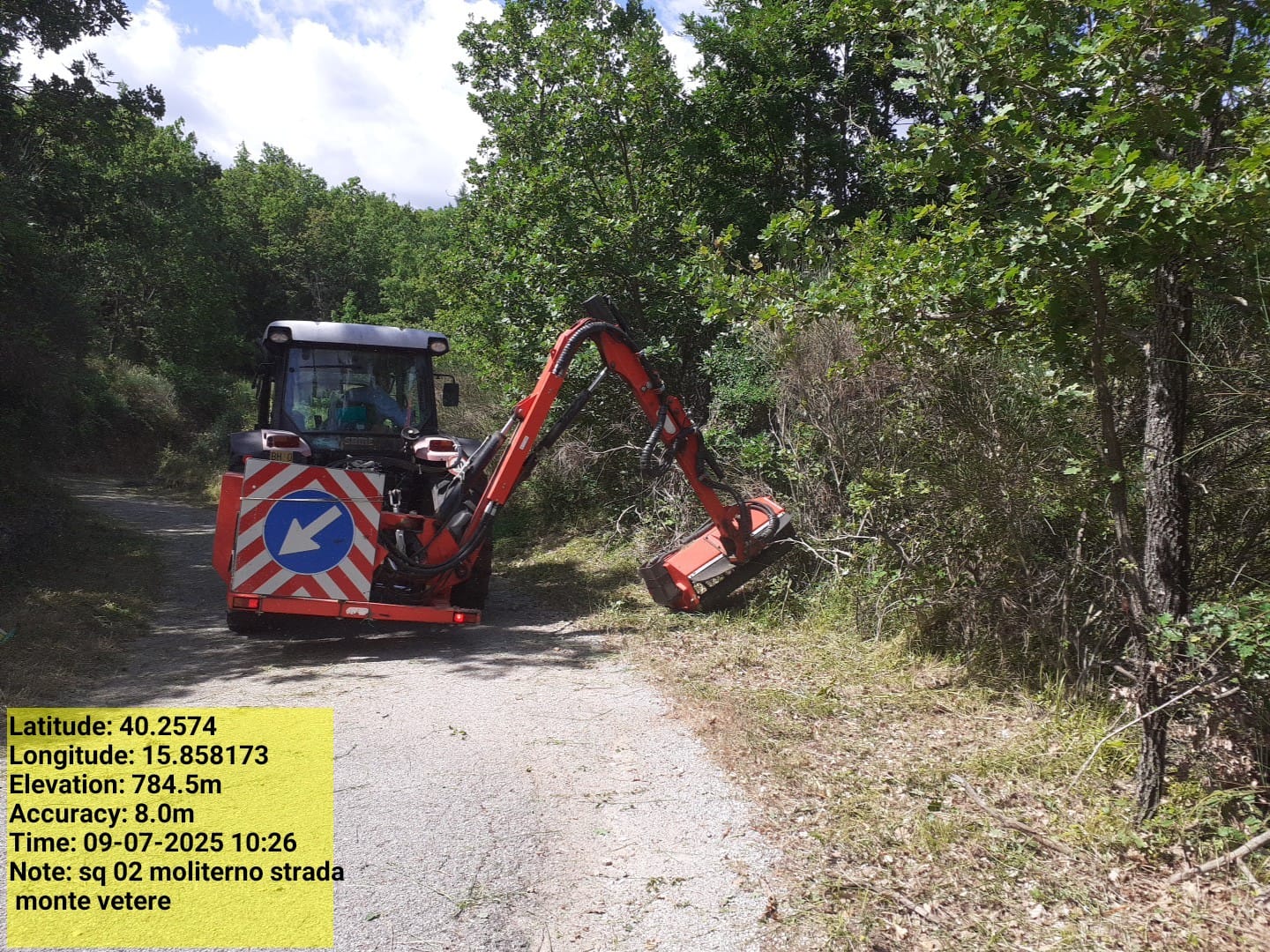 Galleria Fotografica Immagine