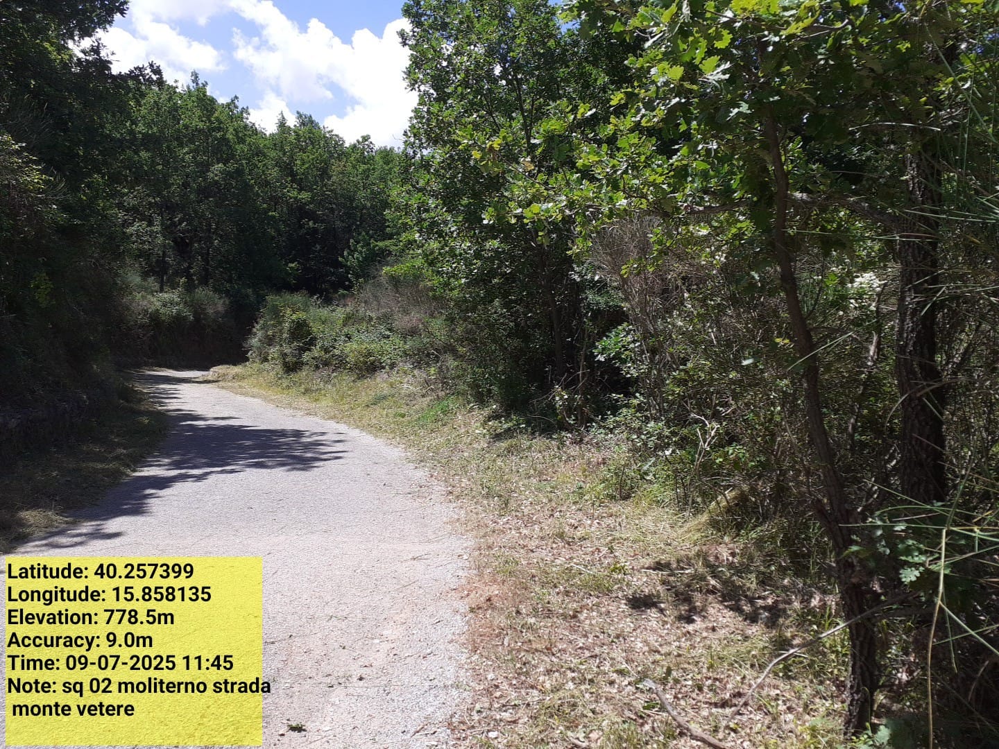 Galleria Fotografica Immagine