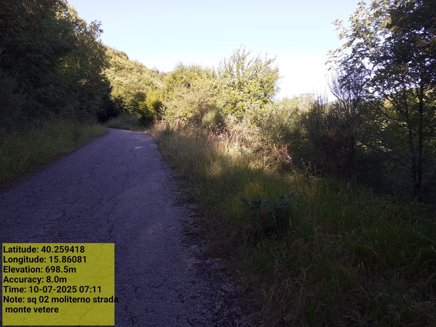 Galleria Fotografica Immagine