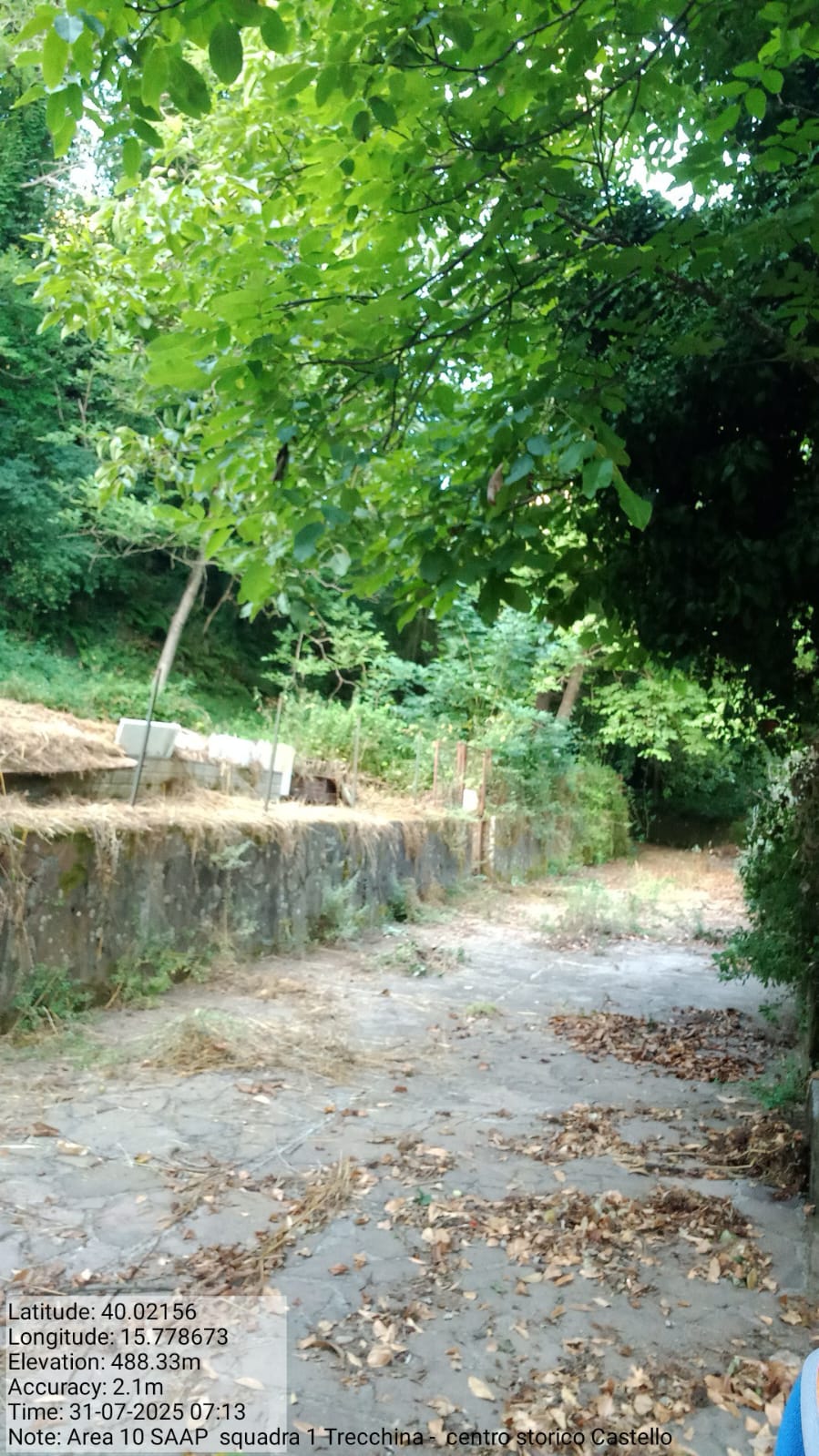 Galleria Fotografica Immagine