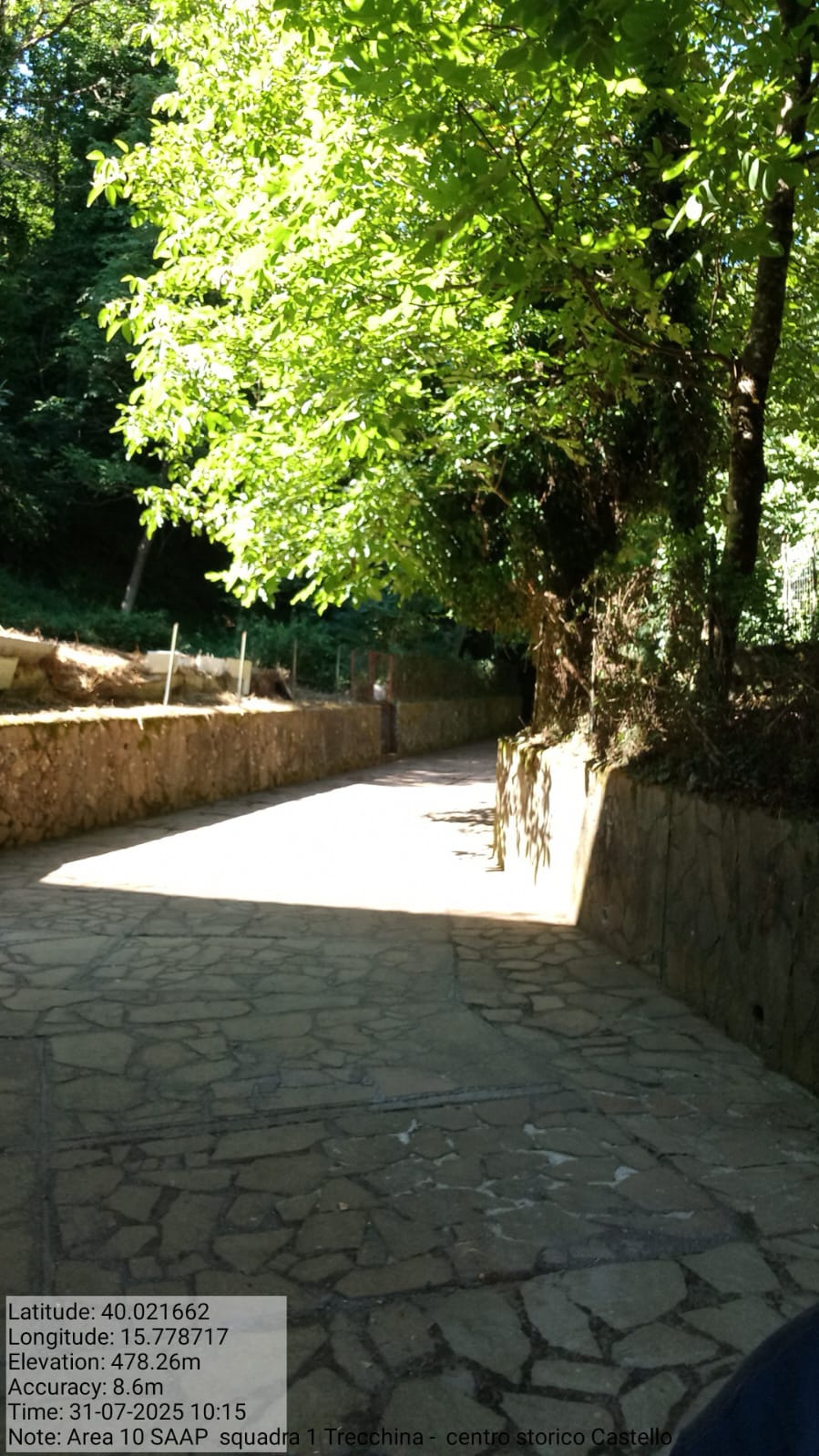 Galleria Fotografica Immagine