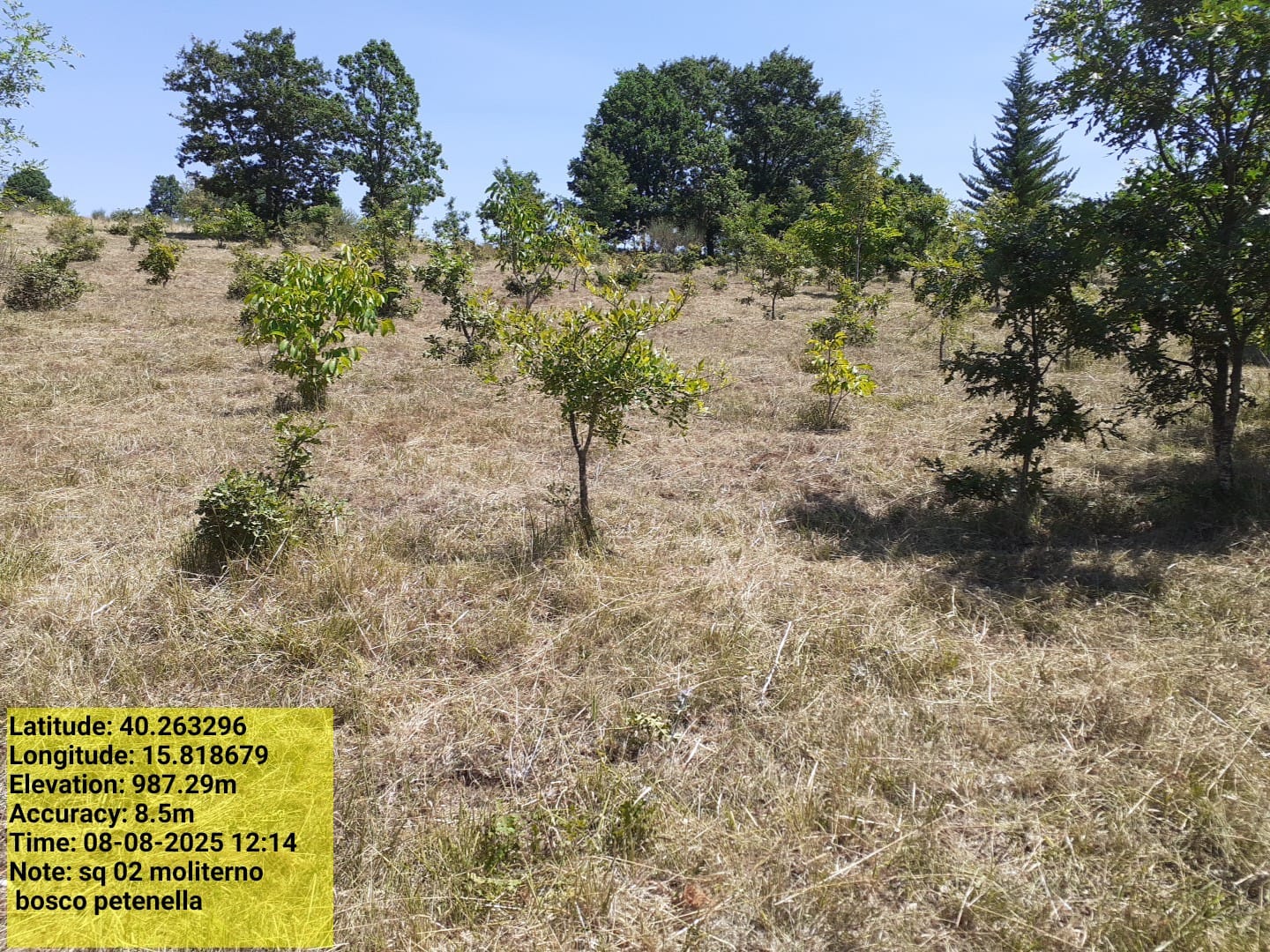 Galleria Fotografica Immagine