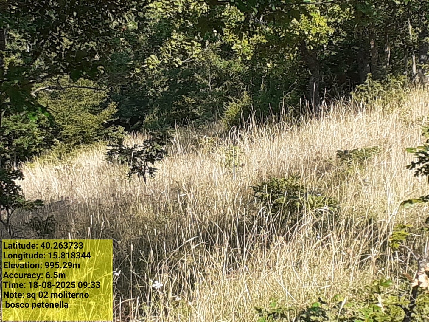 Galleria Fotografica Immagine