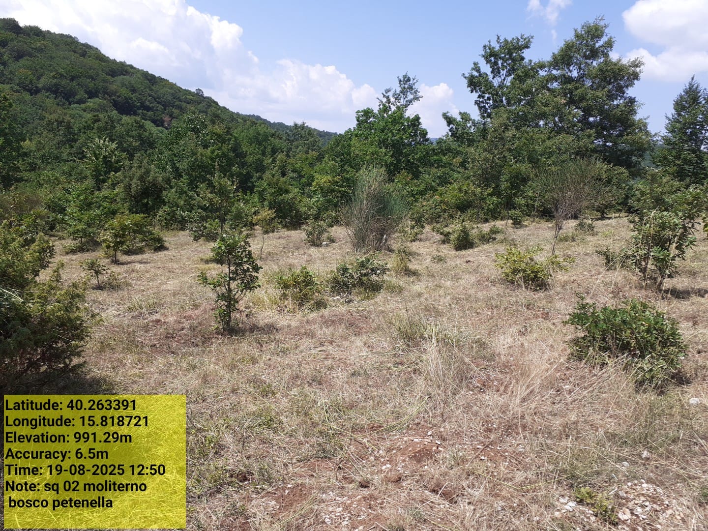 Galleria Fotografica Immagine