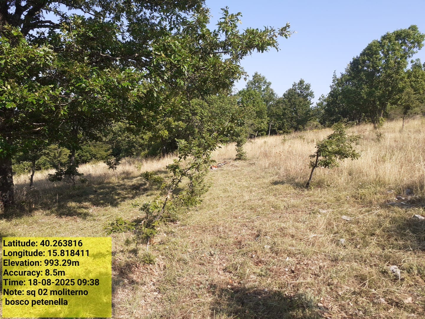 Galleria Fotografica Immagine