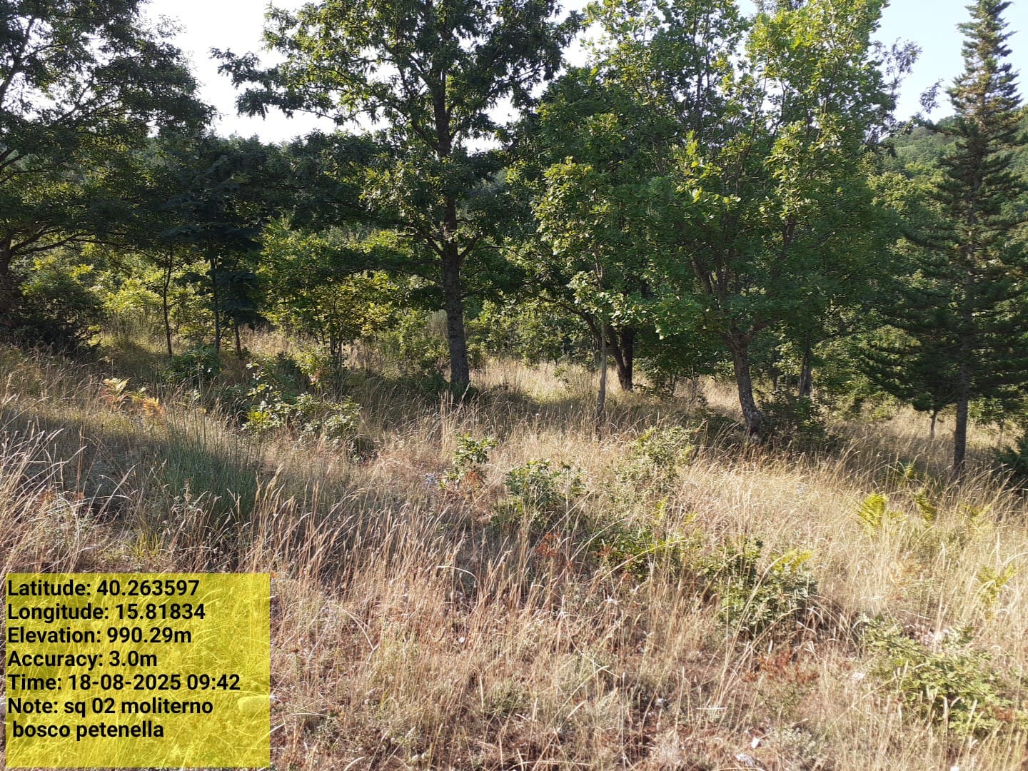 Galleria Fotografica Immagine