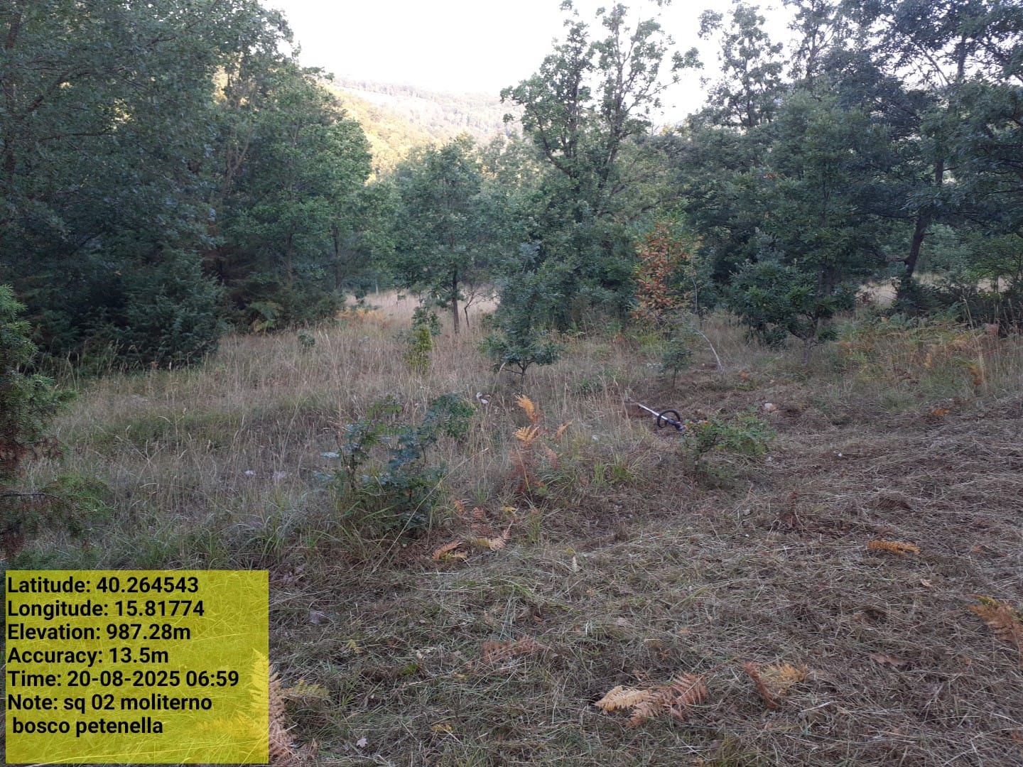 Galleria Fotografica Immagine