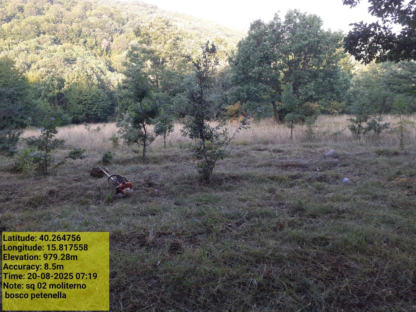 Galleria Fotografica Immagine