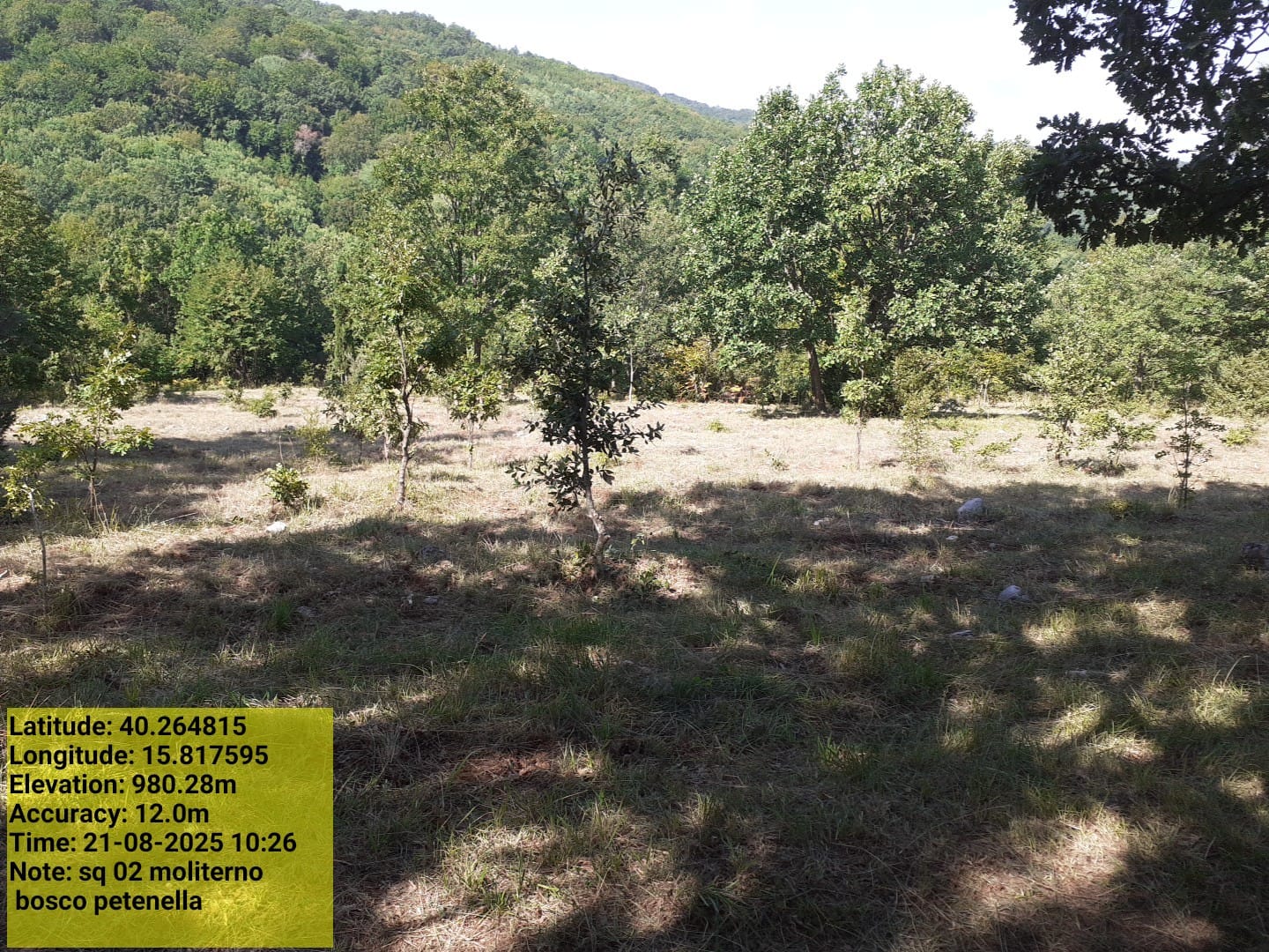 Galleria Fotografica Immagine