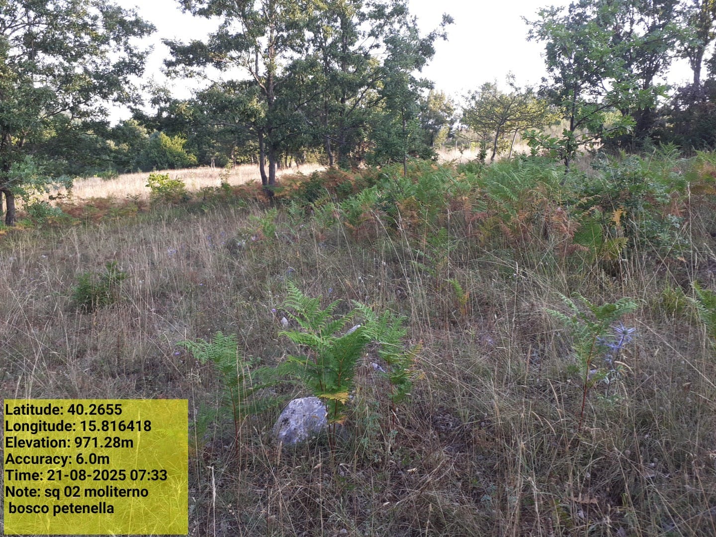 Galleria Fotografica Immagine