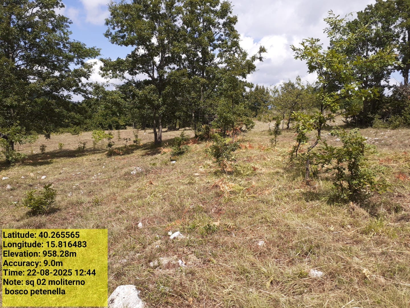 Galleria Fotografica Immagine