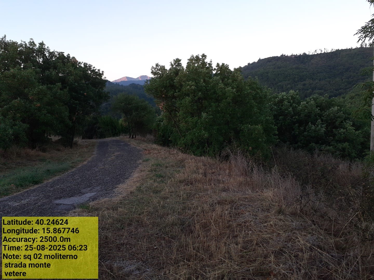 Galleria Fotografica Immagine