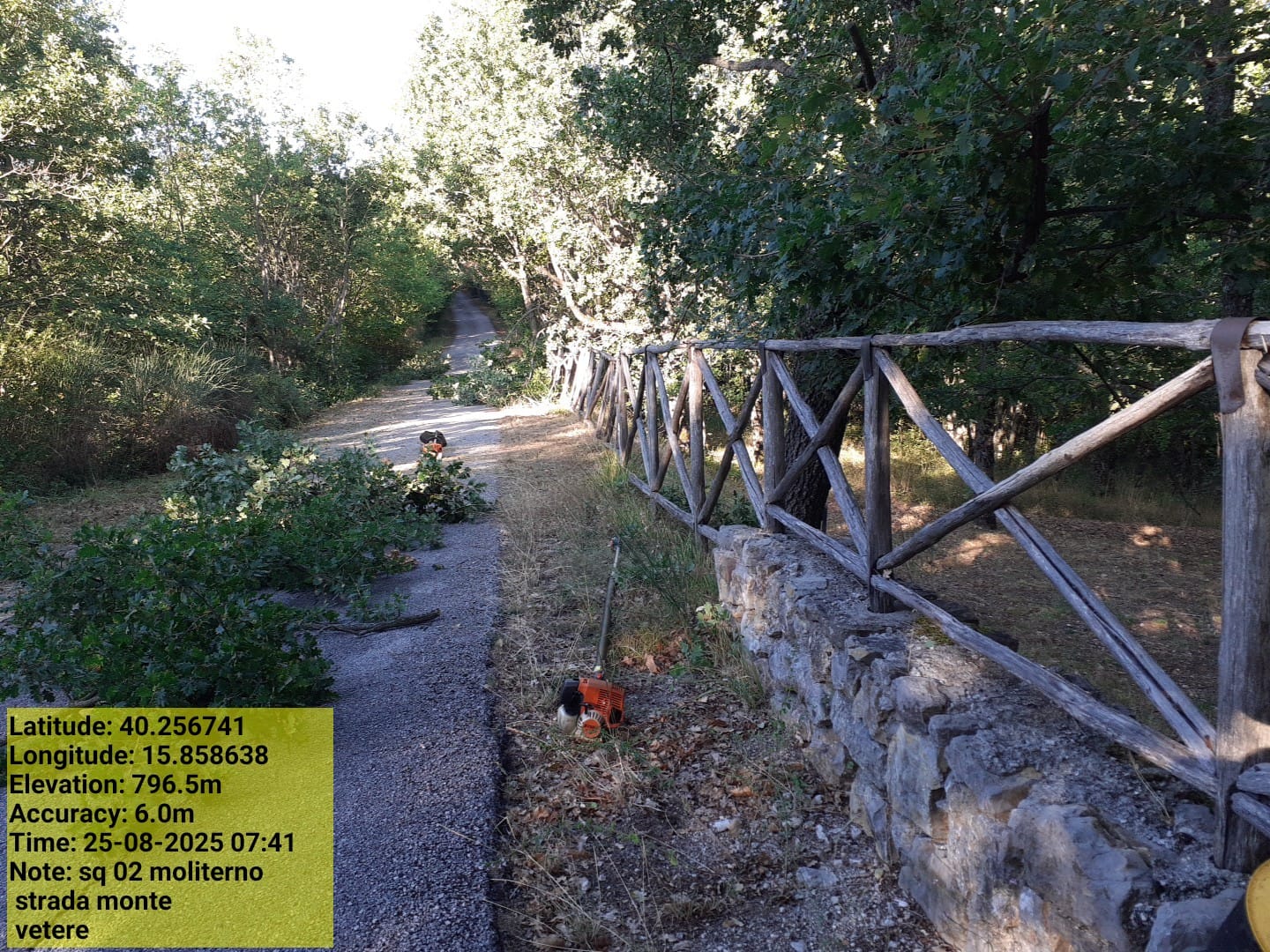 Galleria Fotografica Immagine