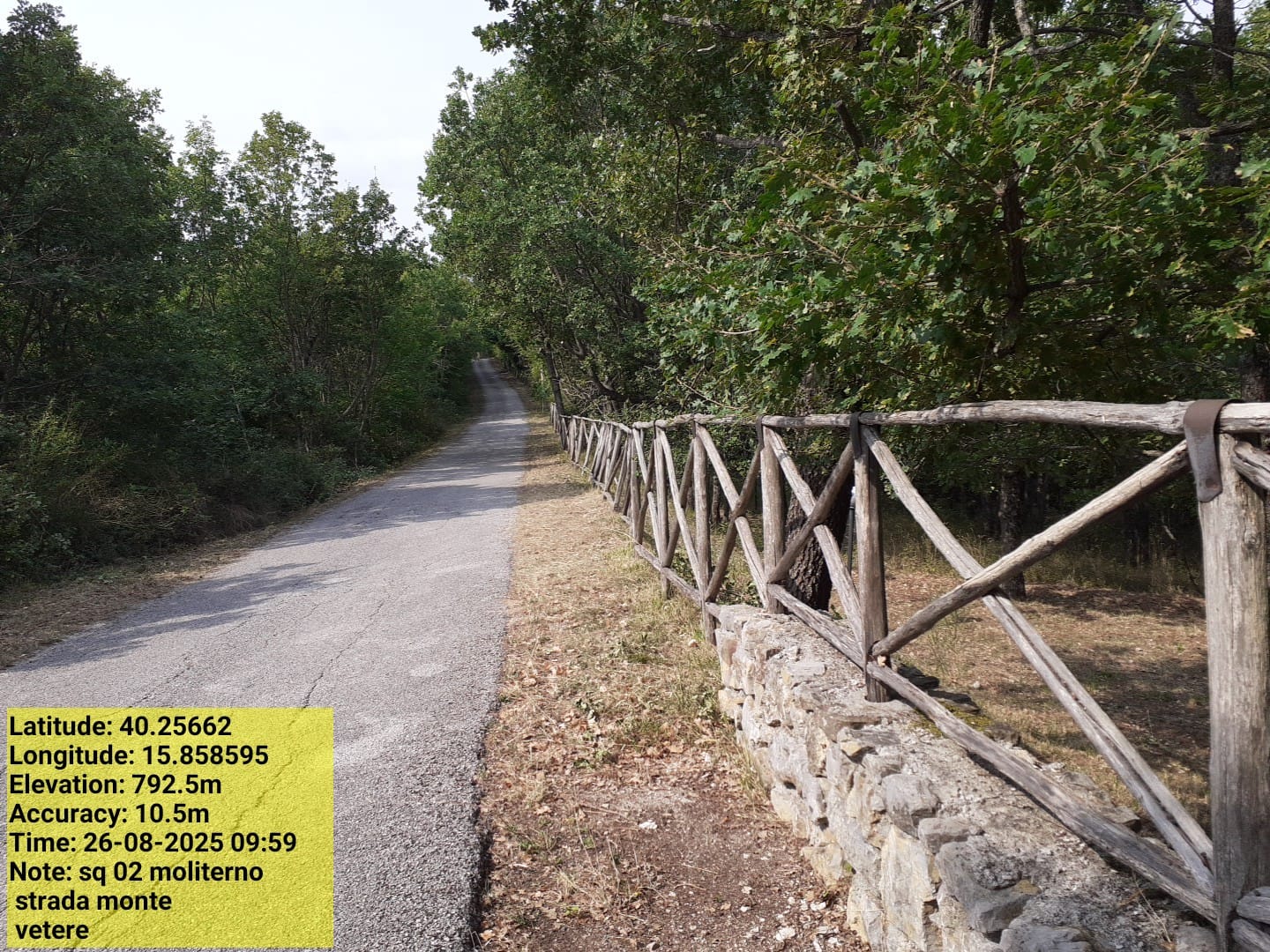 Galleria Fotografica Immagine