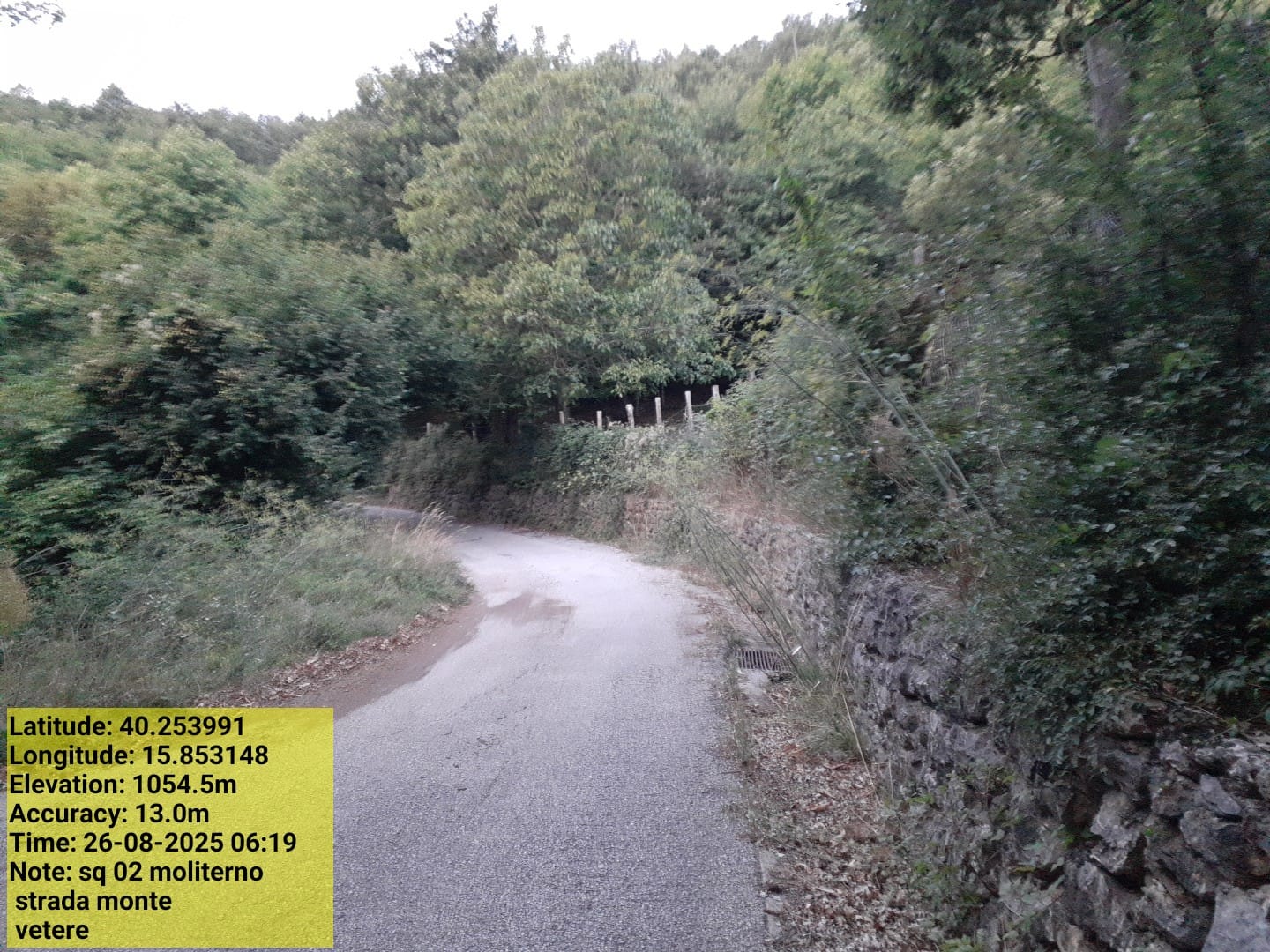 Galleria Fotografica Immagine