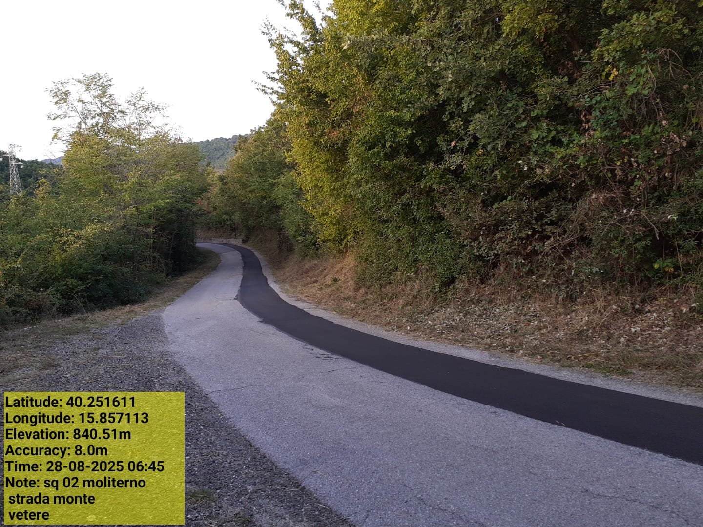 Galleria Fotografica Immagine