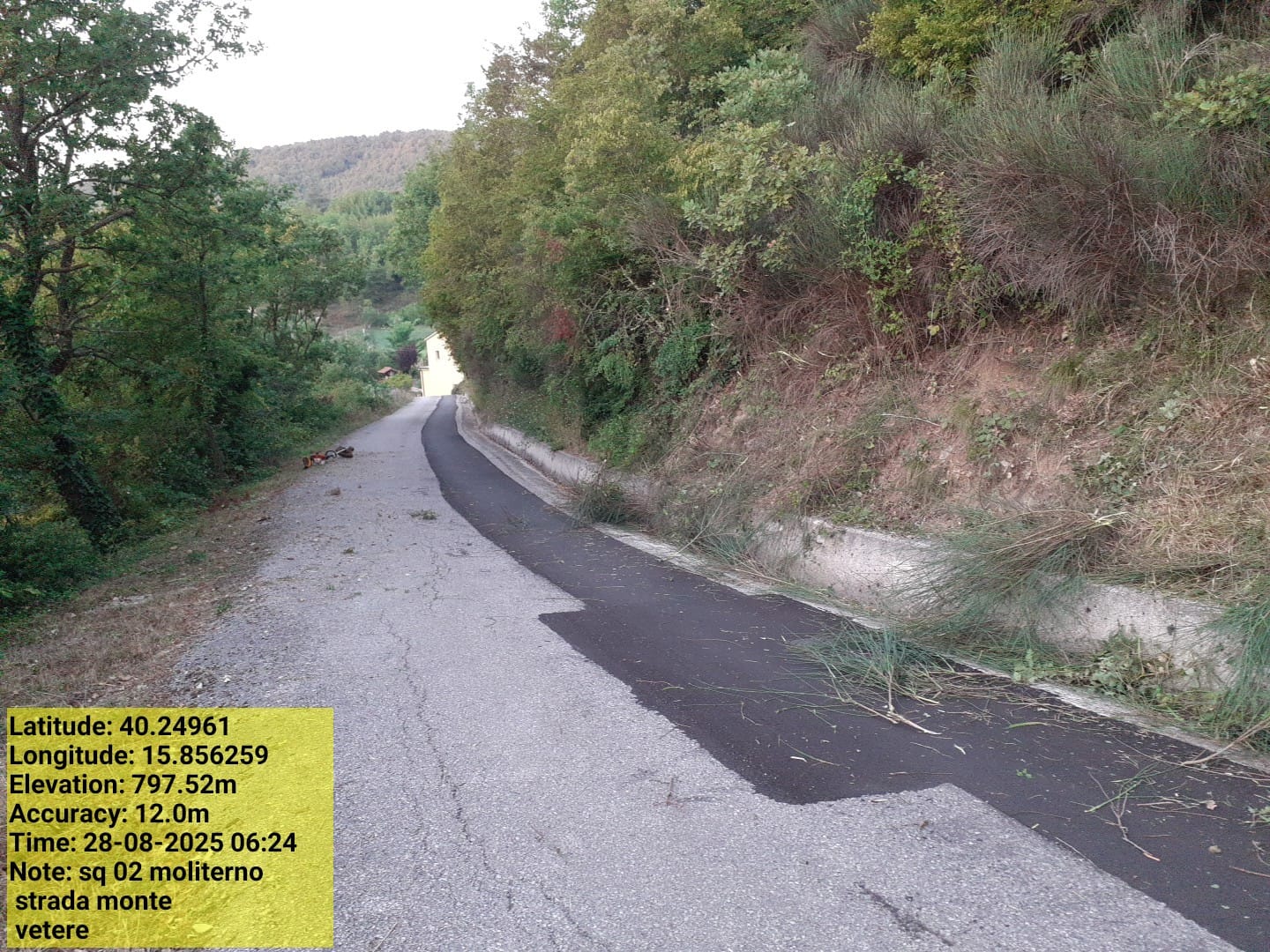 Galleria Fotografica Immagine