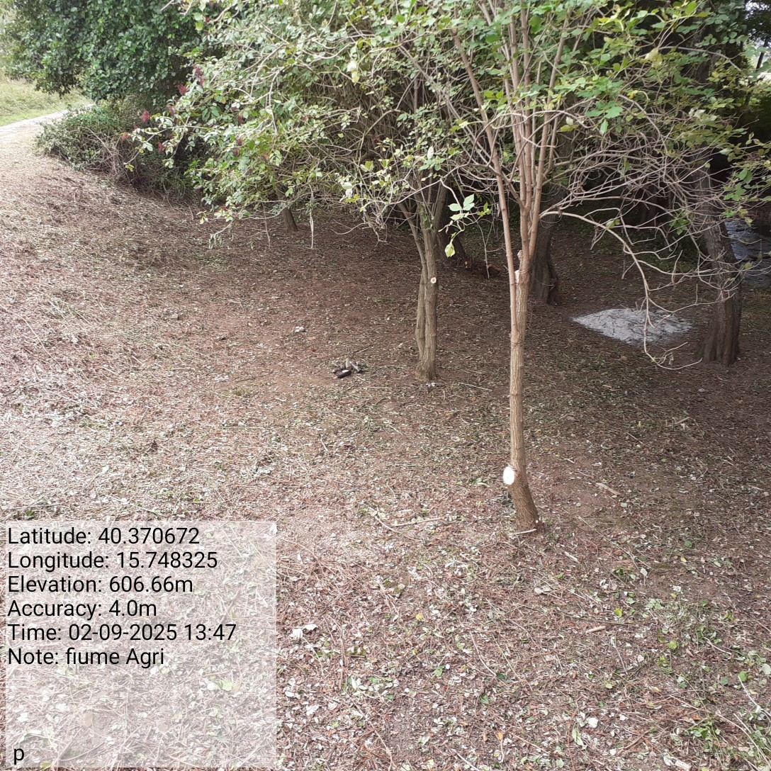 Galleria Fotografica Immagine