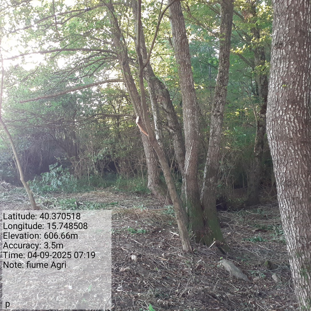 Galleria Fotografica Immagine