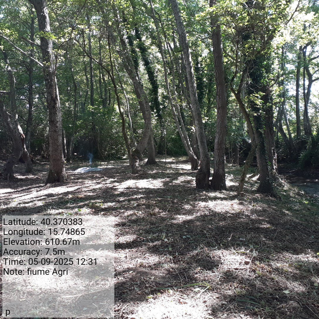 Galleria Fotografica Immagine