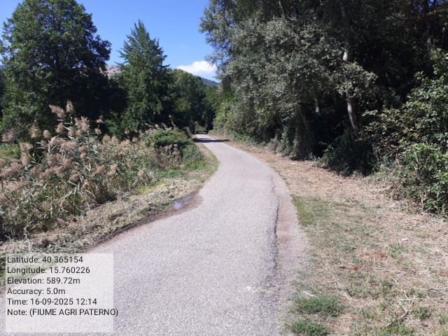 Galleria Fotografica Immagine