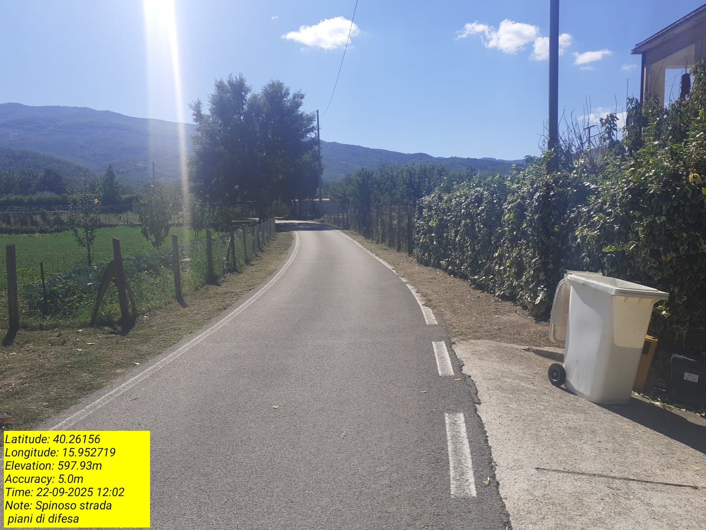 Galleria Fotografica Immagine