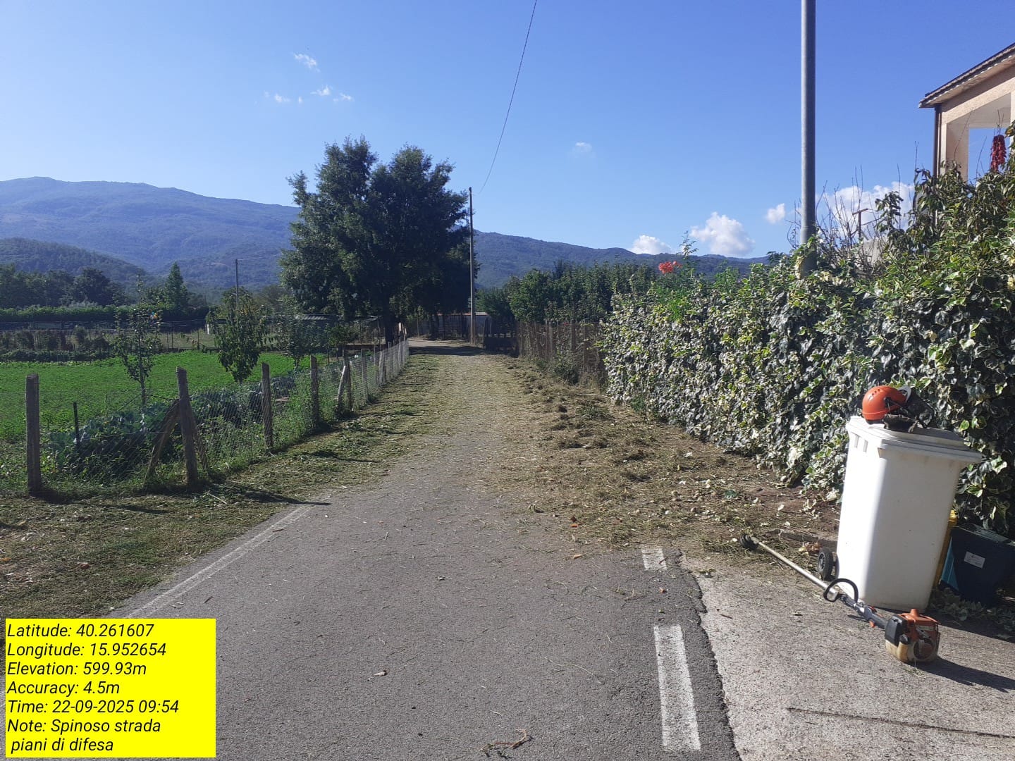 Galleria Fotografica Immagine