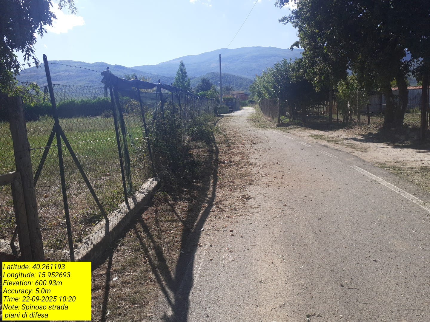 Galleria Fotografica Immagine