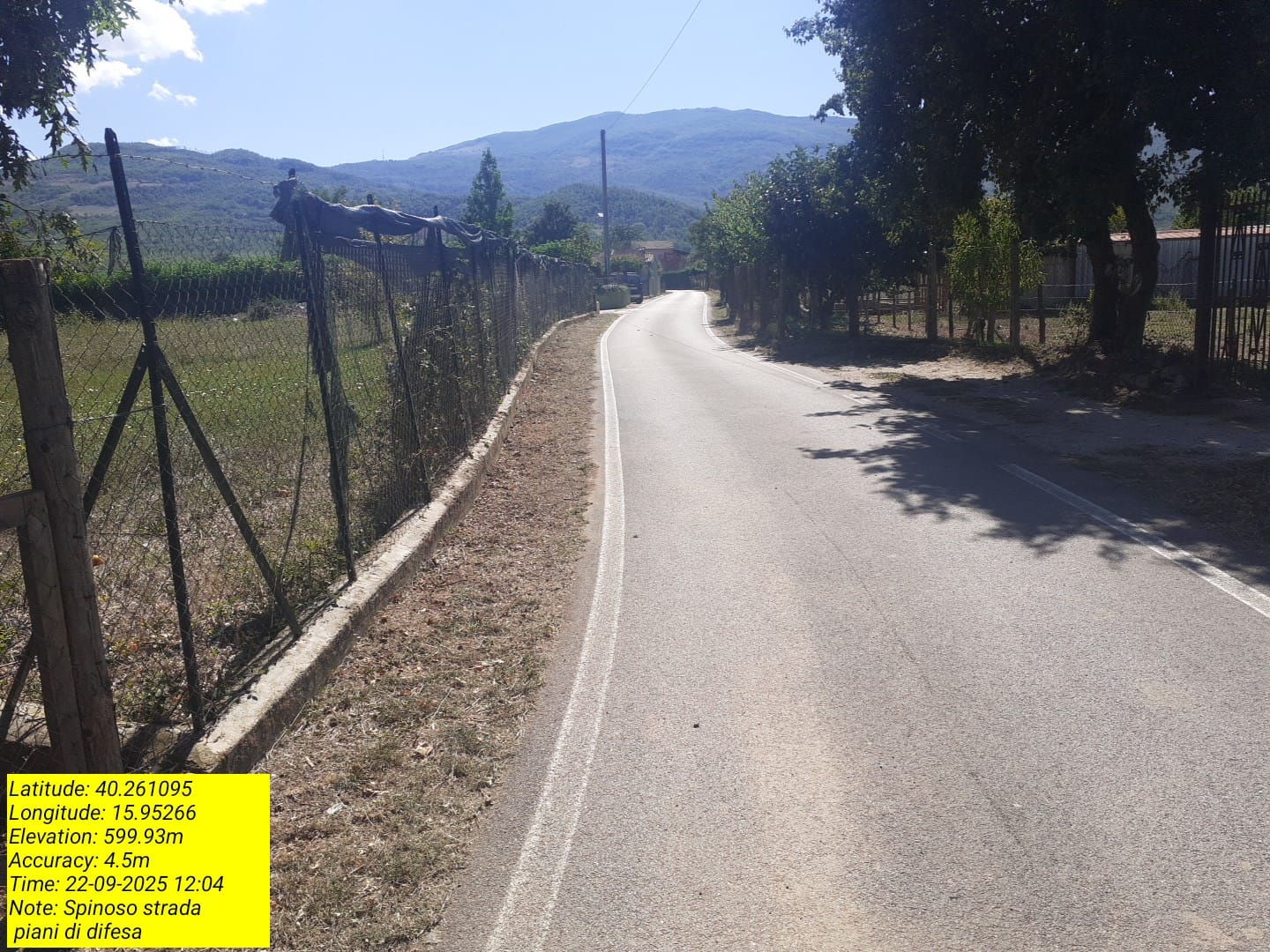 Galleria Fotografica Immagine