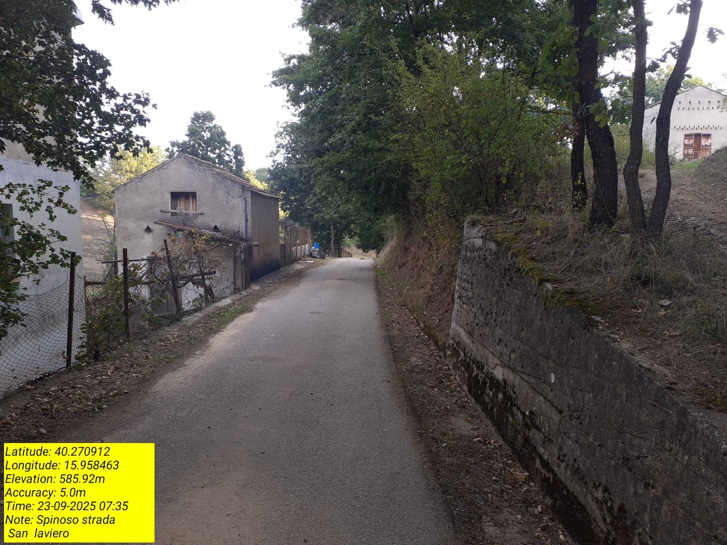 Galleria Fotografica Immagine