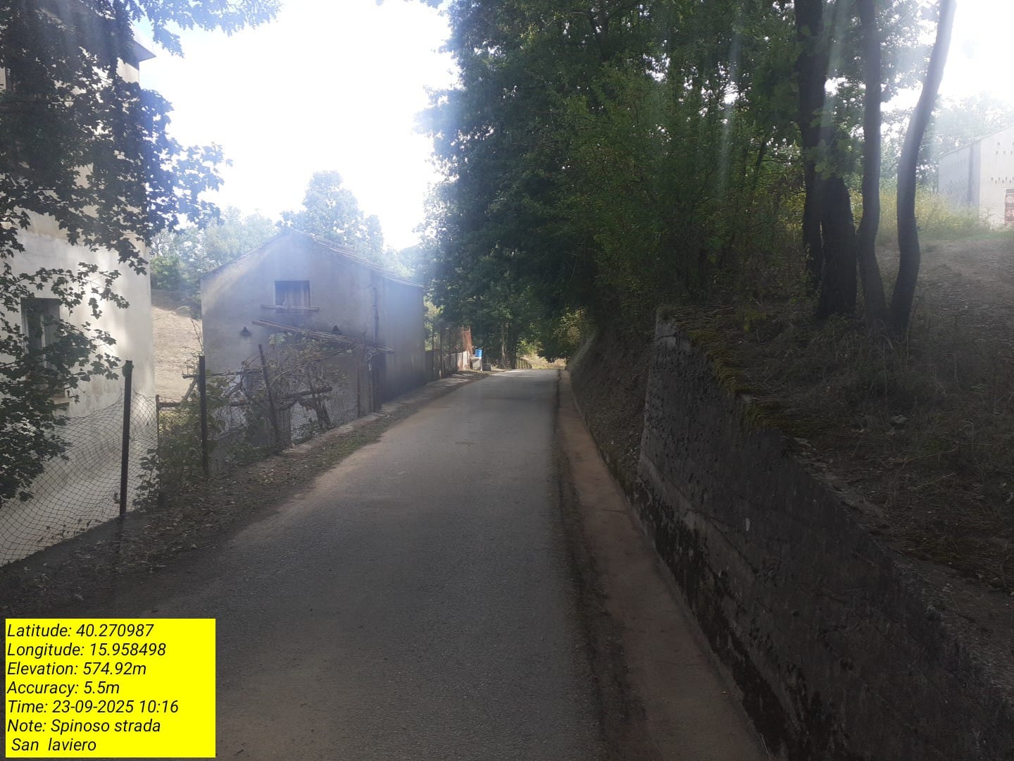 Galleria Fotografica Immagine