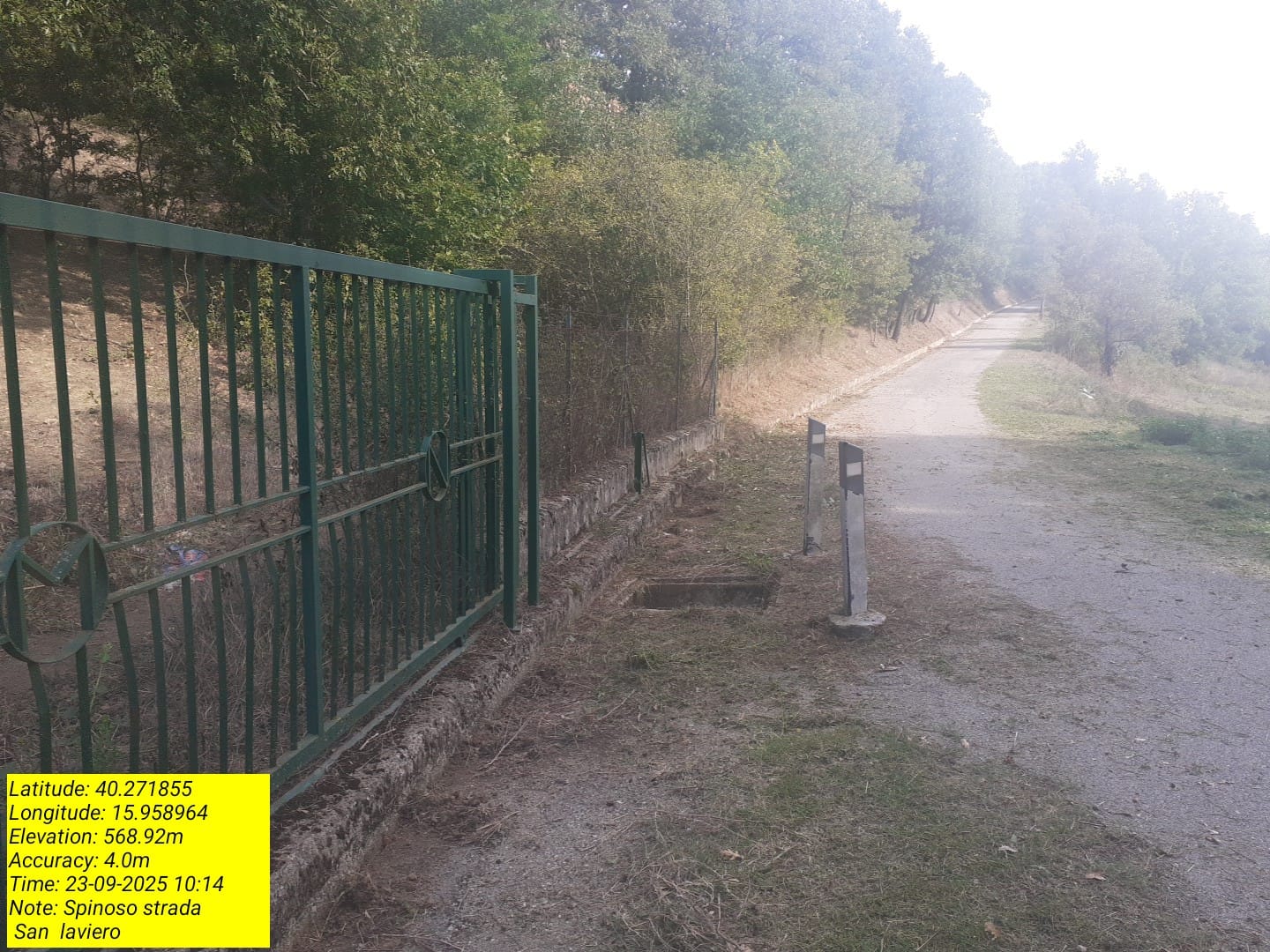 Galleria Fotografica Immagine