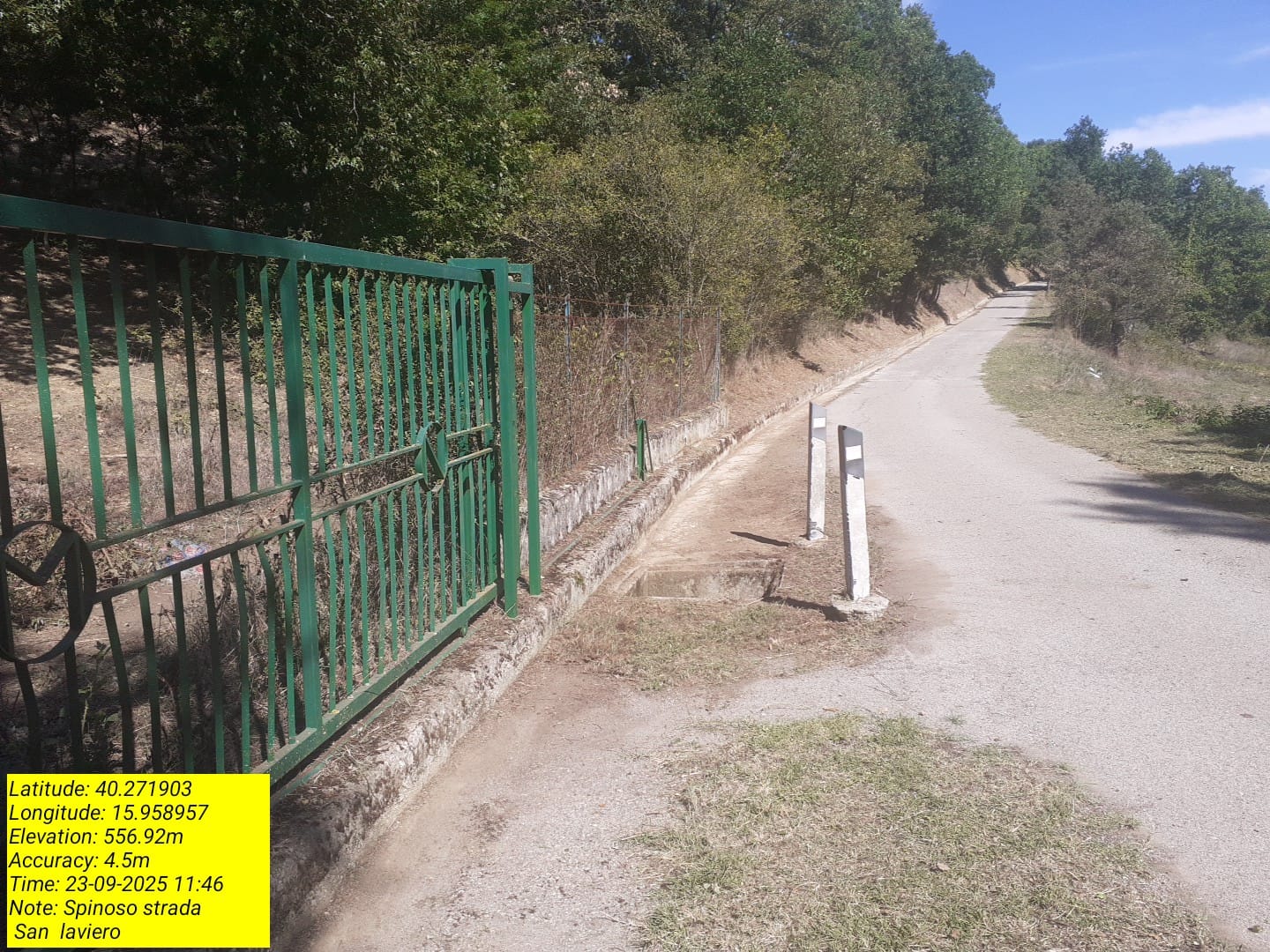 Galleria Fotografica Immagine