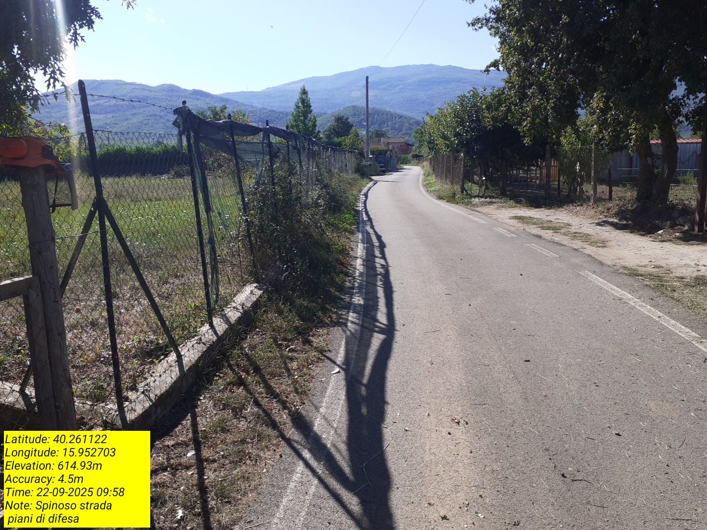 Galleria Fotografica Immagine