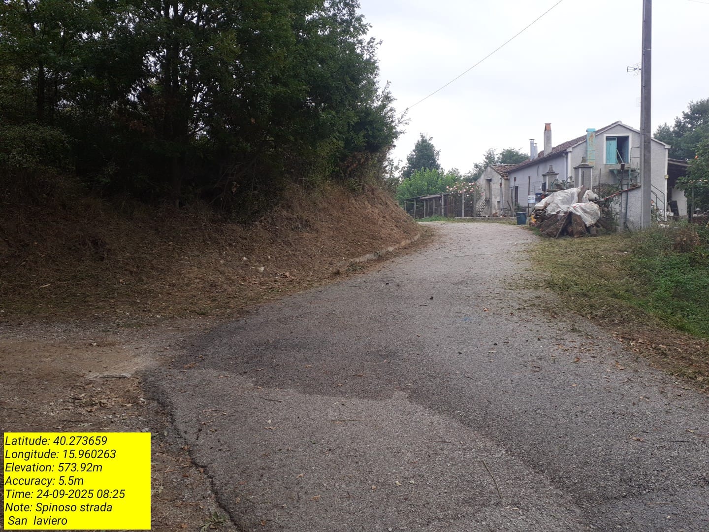 Galleria Fotografica Immagine