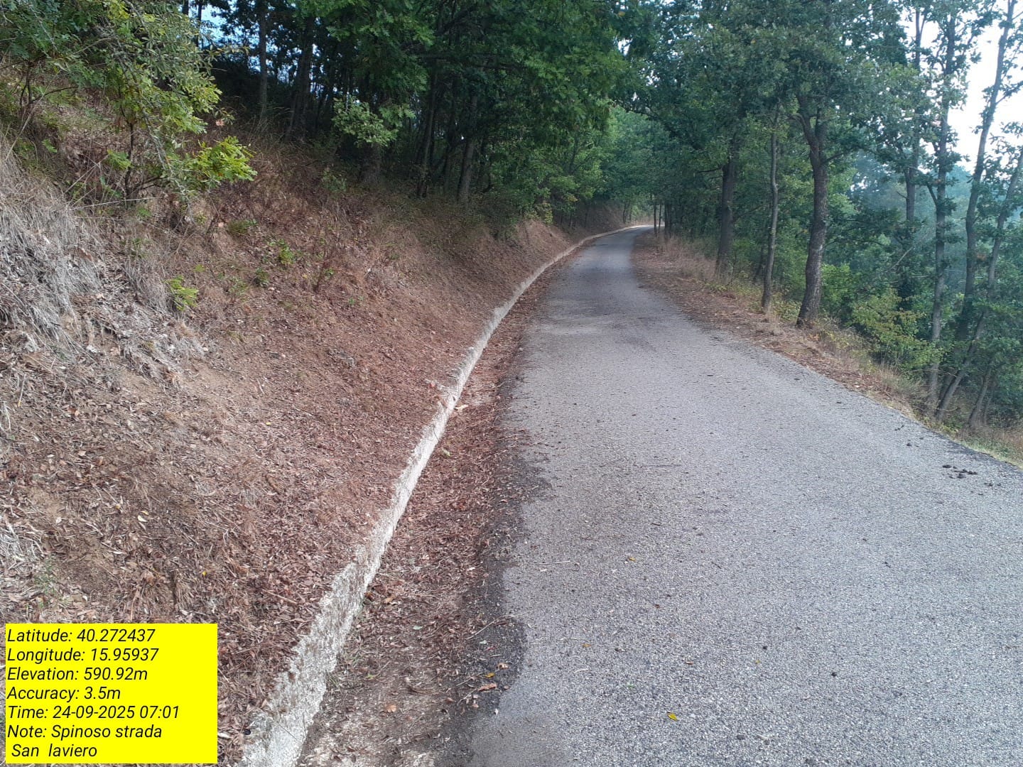 Galleria Fotografica Immagine