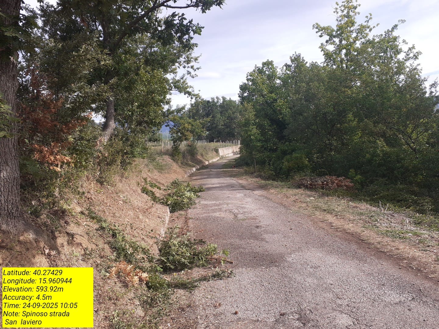 Galleria Fotografica Immagine