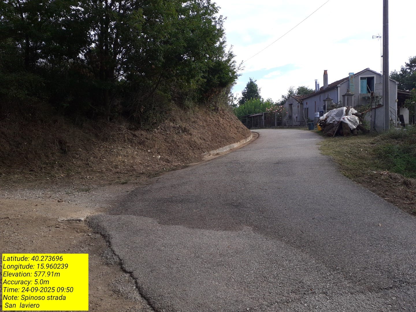 Galleria Fotografica Immagine