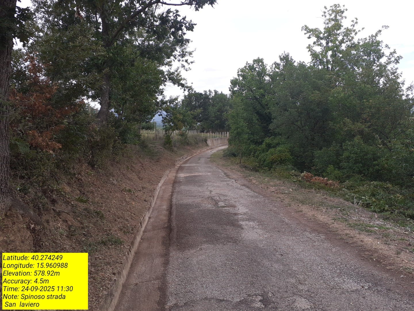 Galleria Fotografica Immagine