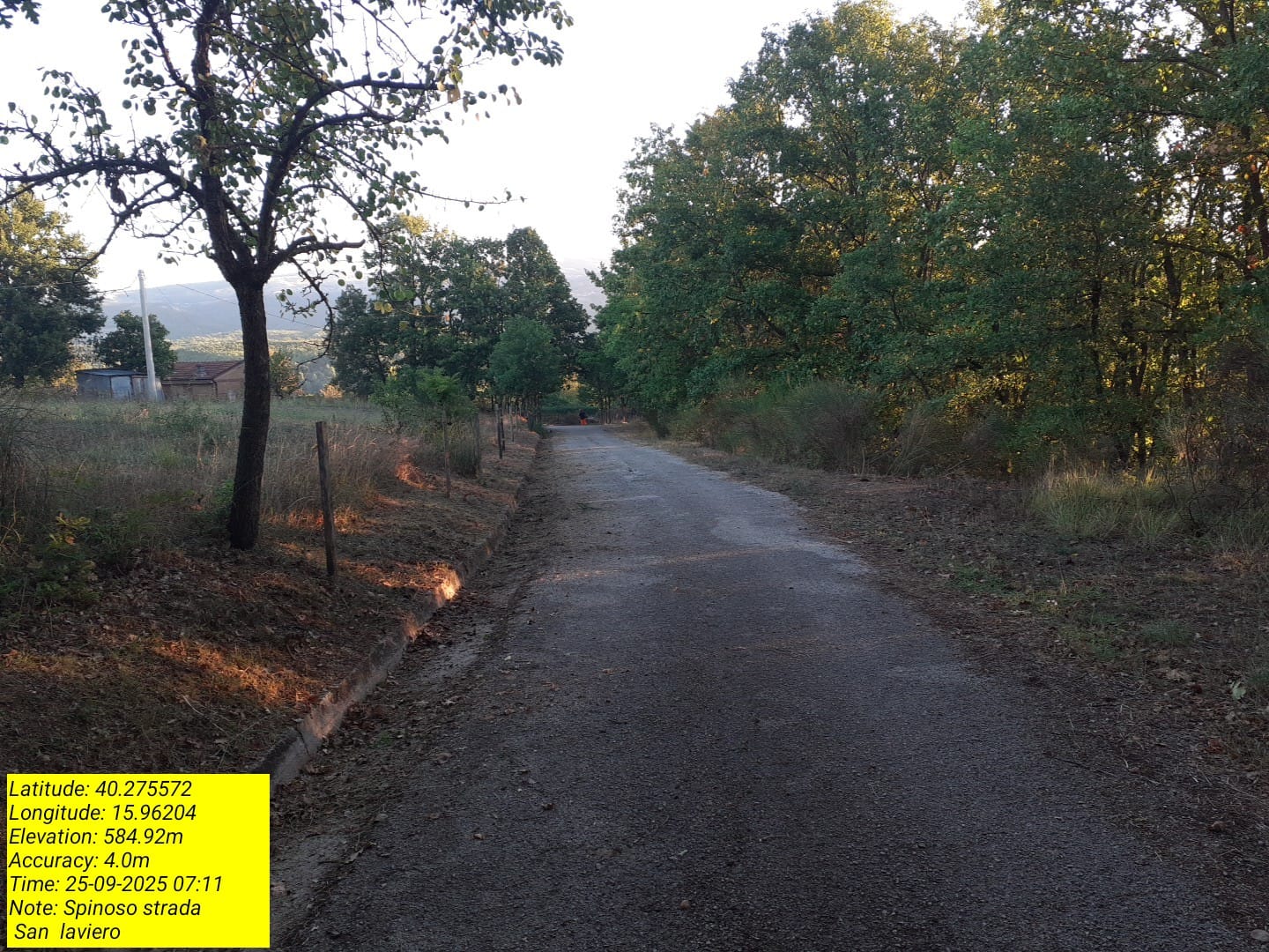 Galleria Fotografica Immagine