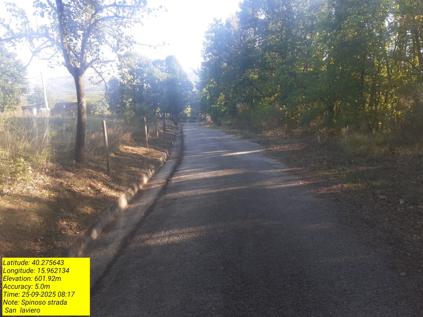 Galleria Fotografica Immagine