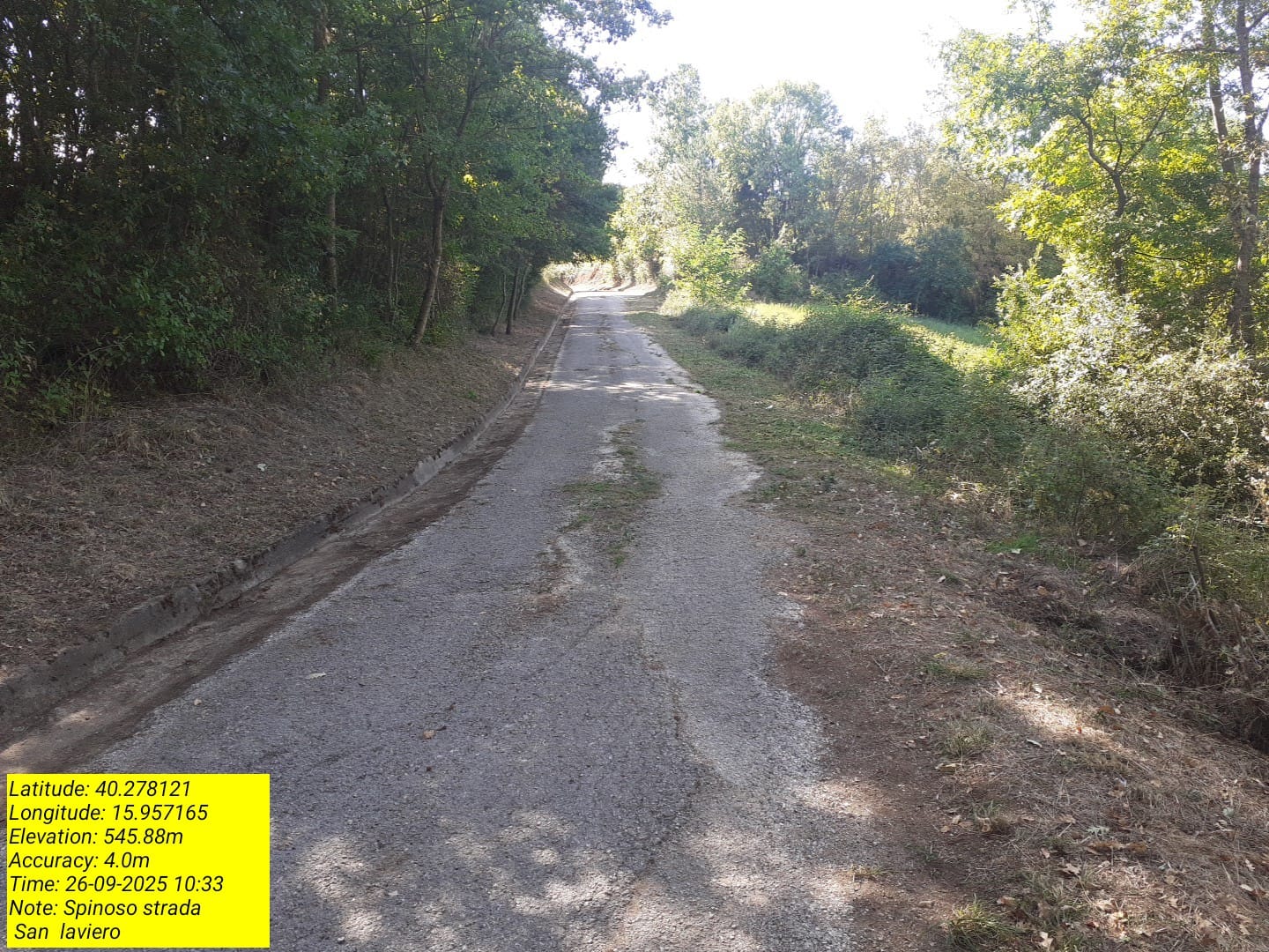 Galleria Fotografica Immagine