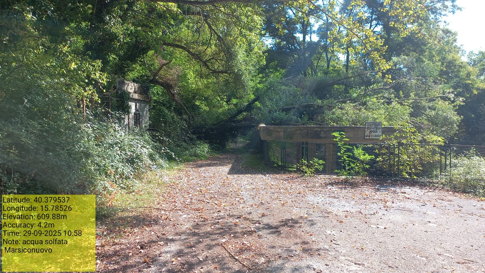 Galleria Fotografica Immagine